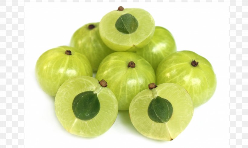 Indian Gooseberry Fruit Ayurveda Amalaki Flavonoid, PNG, 4267x2550px, Indian Gooseberry, Amalaki, Ayurveda, Candy, Citrus Download Free
