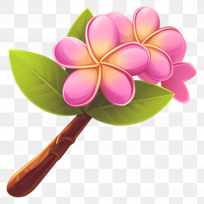 Plumeria Flower - Pink Frangipani Flowers With Green Leaves PNG