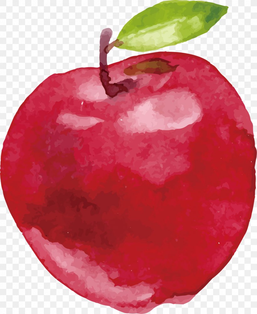 Apples And Oranges Apple Juice, PNG, 1453x1772px, Apple, Apple Juice, Apples And Oranges, Auglis, Drawing Download Free