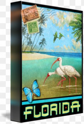 Travel Posters - Advertising Canvas Print Ecosystem Fauna Bird PNG