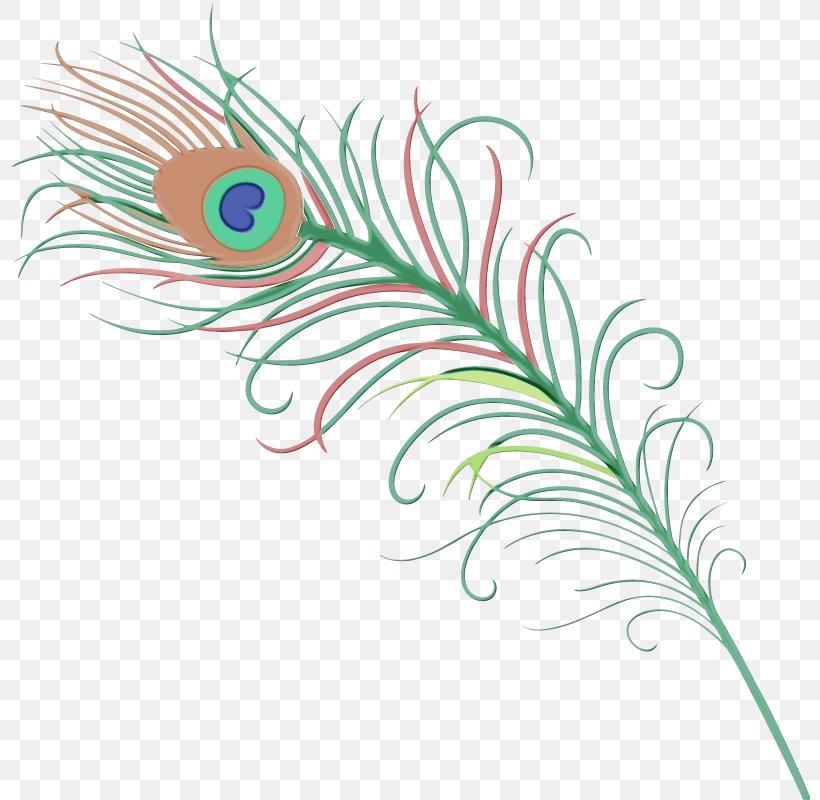 Peacock Drawing, PNG, 800x800px, Peafowl, Bird, Deleted, Drawing, Feather Download Free