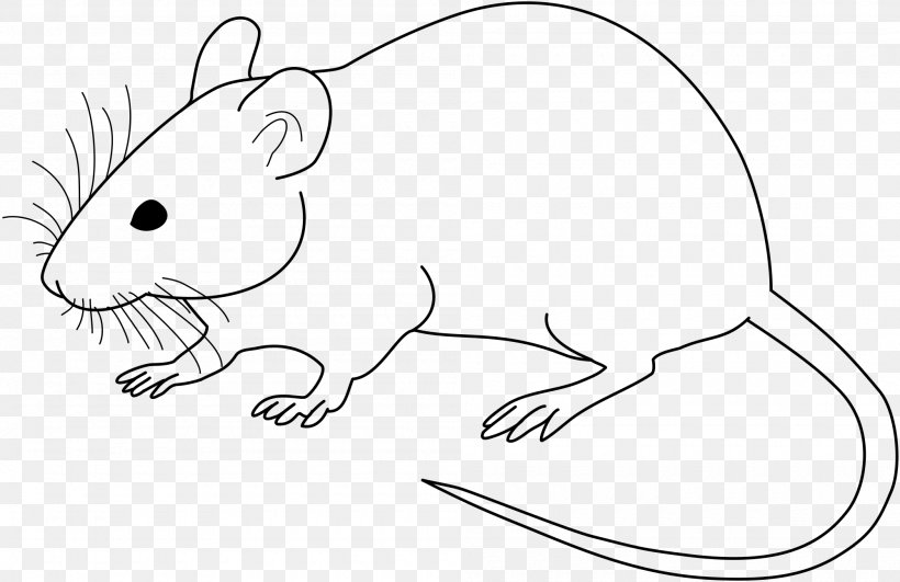 Laboratory Mouse Laboratory Rat Drawing Clip Art, PNG, 2000x1297px, Mouse, Animal Figure, Artwork, Black And White, Black Rat Download Free