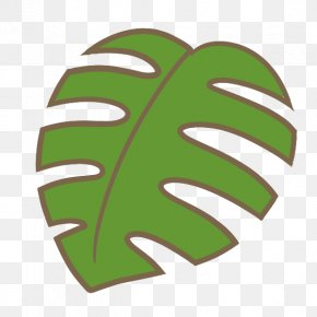 Leaf - Leaf Swiss Cheese Plant Illustration Graphics Text PNG