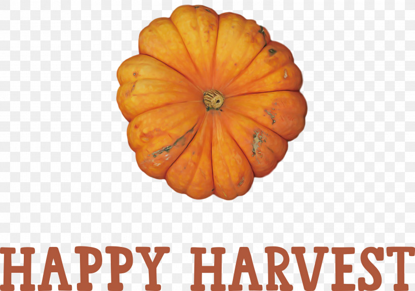 Happy Harvest Harvest Time, PNG, 3000x2107px, Happy Harvest, Calabaza, Fruit, Harvest Time, Meter Download Free