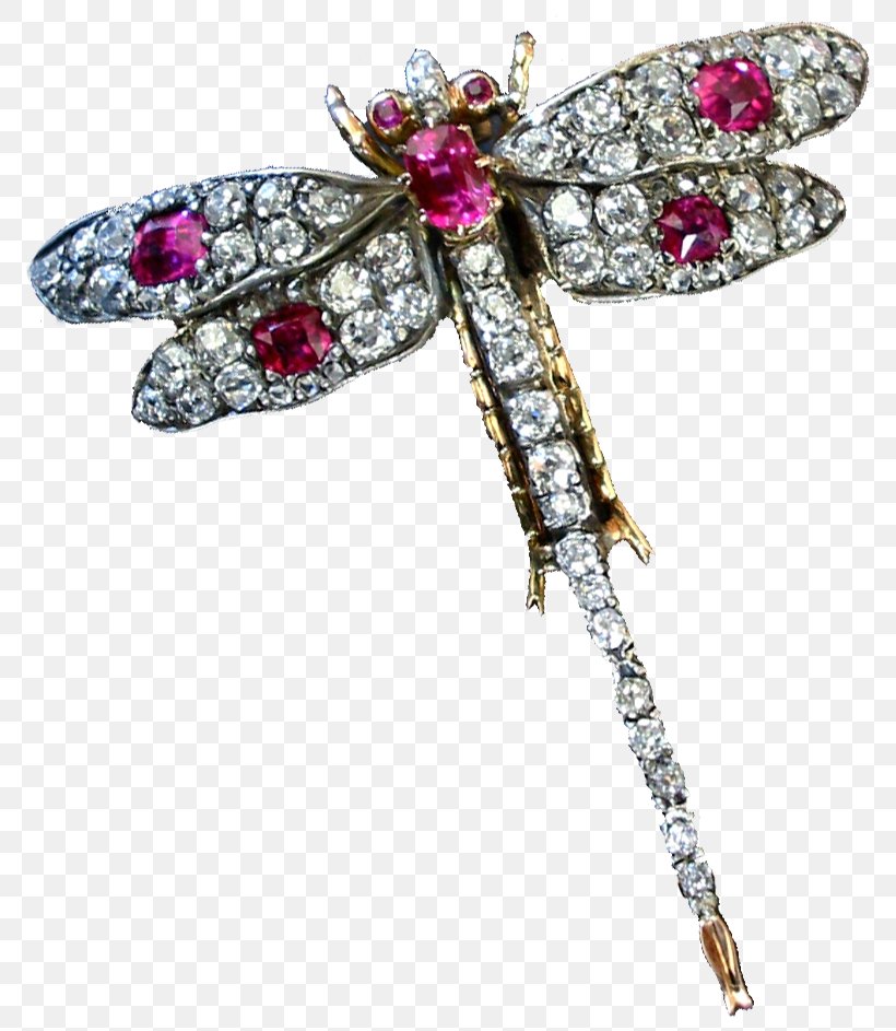 Insect Jewellery Brooch Clip Art, PNG, 807x943px, Insect, Body Jewelry, Brooch, Celtic Brooch, Dragonfly Download Free
