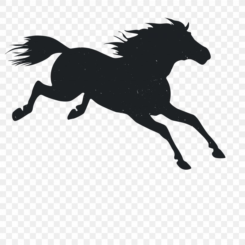 Mustang Pony Animal, PNG, 3600x3600px, Mustang, Animal, Black, Black And White, Bridle Download Free