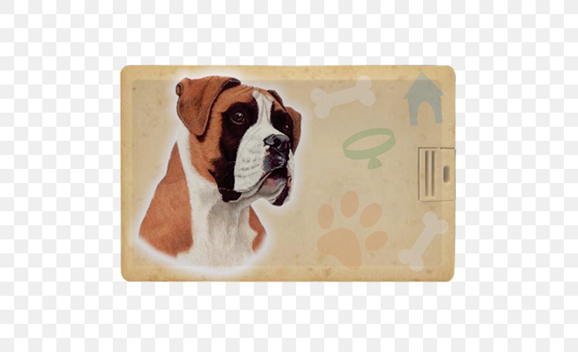 Boxer French Bulldog Dog Breed Bull Terrier, PNG, 500x500px, Boxer, Beagle, Bernese Mountain Dog, Bichon Frise, Boskapshund Download Free