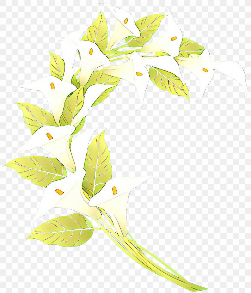 Floral Flower Background, PNG, 2569x3000px, Cartoon, Alismatales, Branch, Floral Design, Flower Download Free