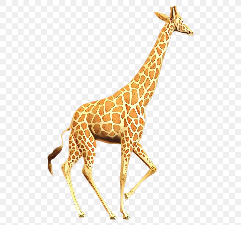 Giraffe Terrestrial Animal Fauna Neck Pattern, PNG, 536x768px, Giraffe, Action Toy Figures, Animal, Animal Figure, Fauna Download Free