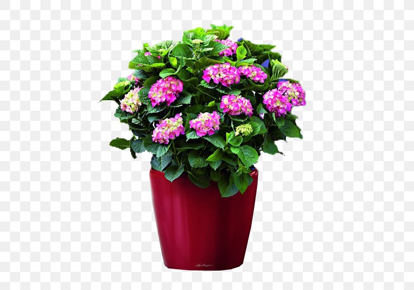Hydrangea Flowerpot Houseplant Green, PNG, 576x576px, Hydrangea, Annual Plant, Business, Cornales, Cut Flowers Download Free