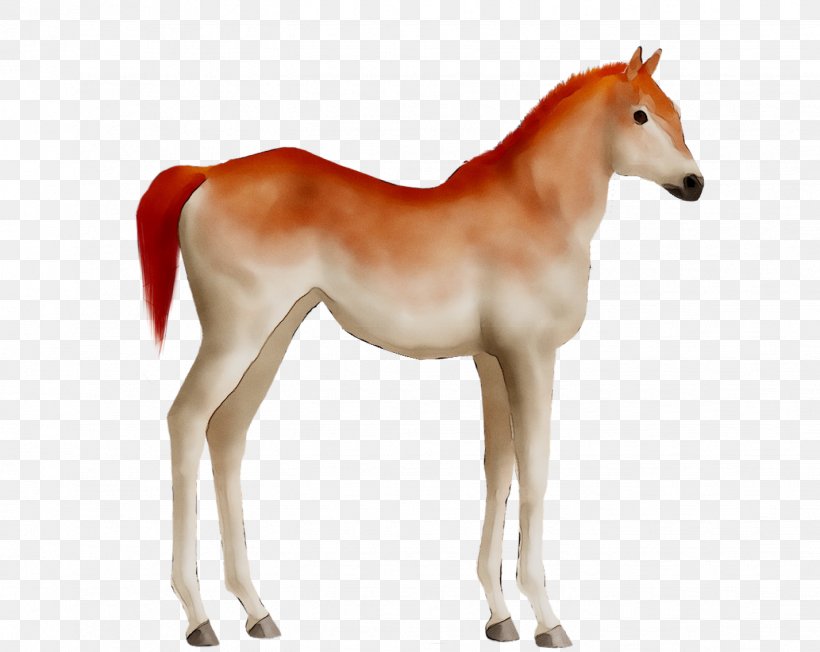 Mustang Foal Mare Colt Stallion, PNG, 1427x1136px, Mustang, Animal, Animal Figure, Colt, Fictional Character Download Free