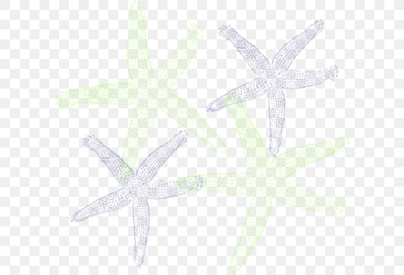 Starfish Product Design Clip Art, PNG, 600x559px, Starfish, Echinoderm, Invertebrate, Marine Invertebrates, Petal Download Free