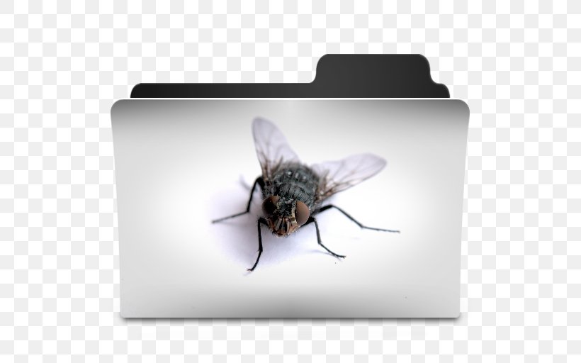 Bee Desktop Wallpaper Desktop Metaphor, PNG, 512x512px, Bee, Arthropod, Avatar, Butterflies And Moths, Desktop Metaphor Download Free