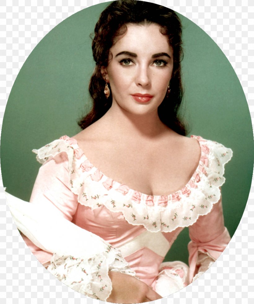 Elizabeth Taylor Raintree County Film Actor Academy Awards, PNG, 856x1023px, Watercolor, Cartoon, Flower, Frame, Heart Download Free