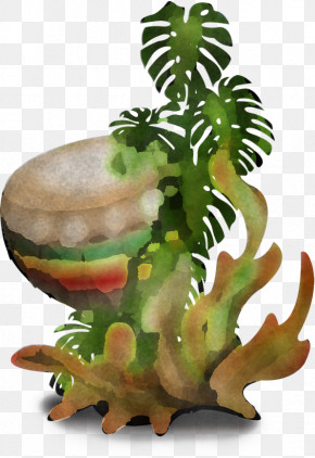 Leaf Aquarium Decor Plant Flowerpot Houseplant PNG