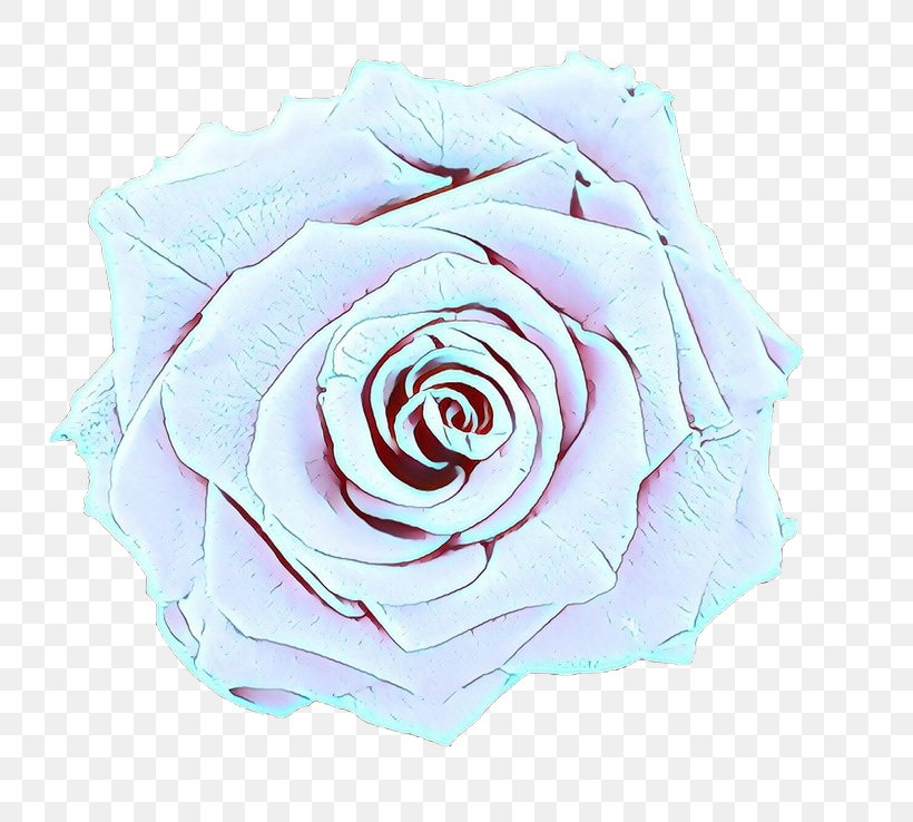 Pink Flower Cartoon, PNG, 738x738px, Garden Roses, Blue, Blue Rose, Cabbage Rose, Cut Flowers Download Free