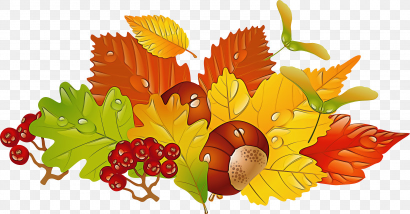 Plane, PNG, 3000x1568px, Leaf, Autumn, Berry, Flower, Food Download Free