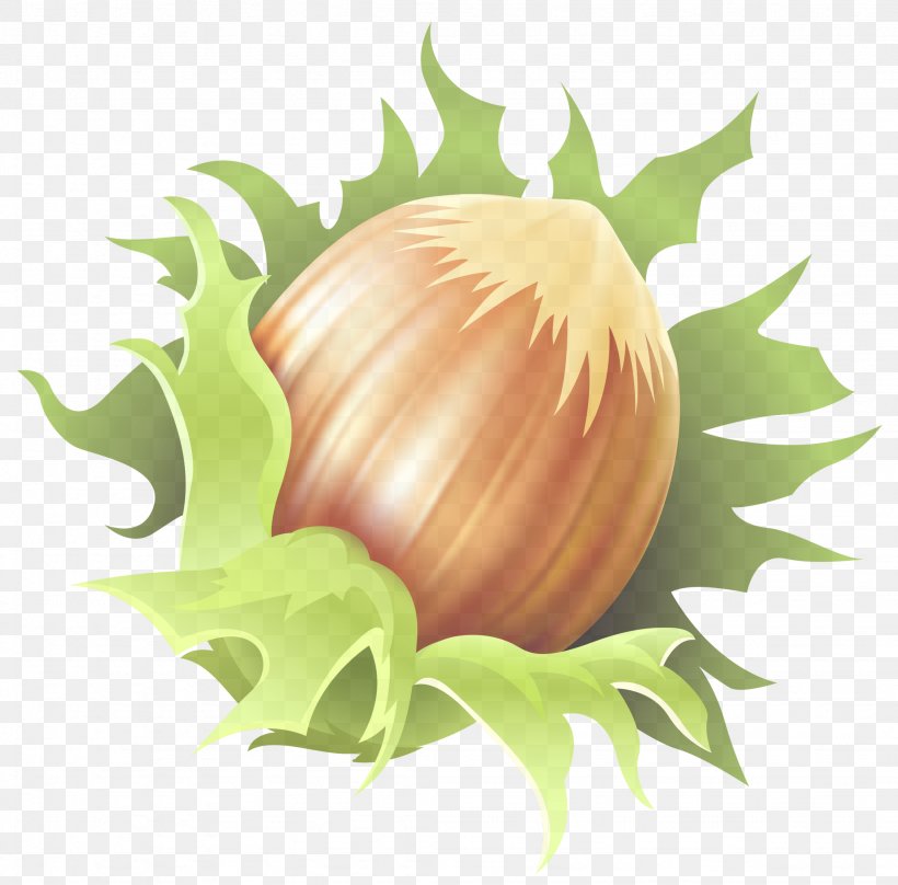Plant Clip Art Vegetable Onion Food, PNG, 2048x2019px, Plant, Flowering Plant, Food, Onion, Vegetable Download Free