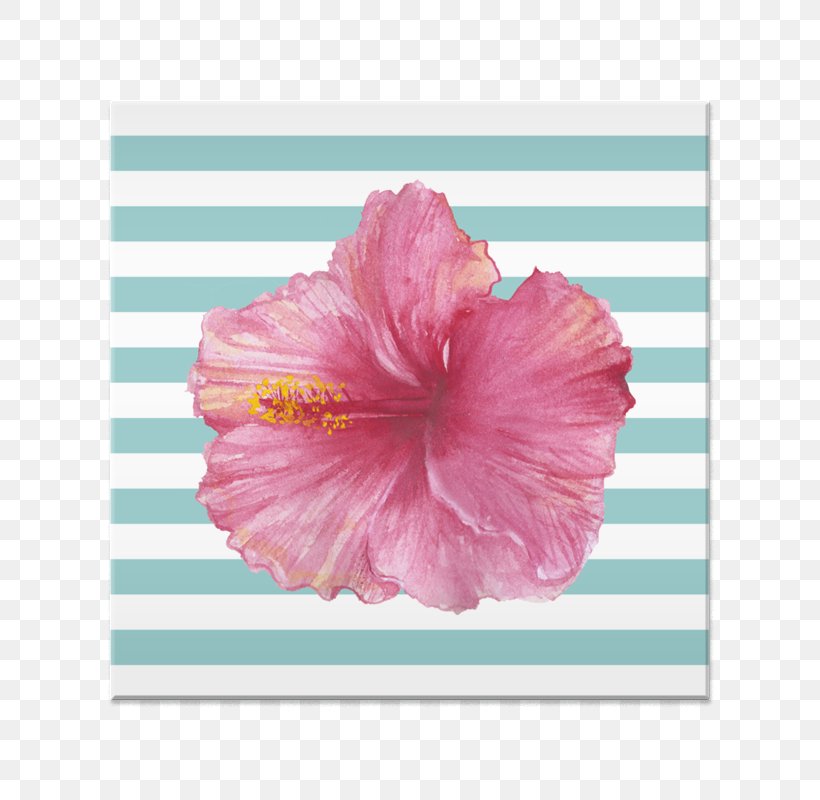 T-shirt Art Paper Towel Hibiscus Tea, PNG, 800x800px, Watercolor, Cartoon, Flower, Frame, Heart Download Free