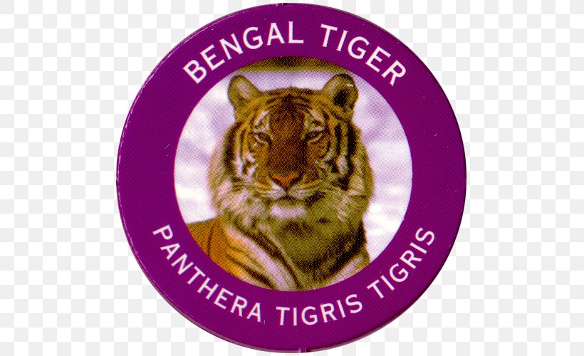 Tiger Whiskers Big Cat Burn, PNG, 500x500px, Tiger, Big Cat, Big Cats, Burn, Carnivoran Download Free
