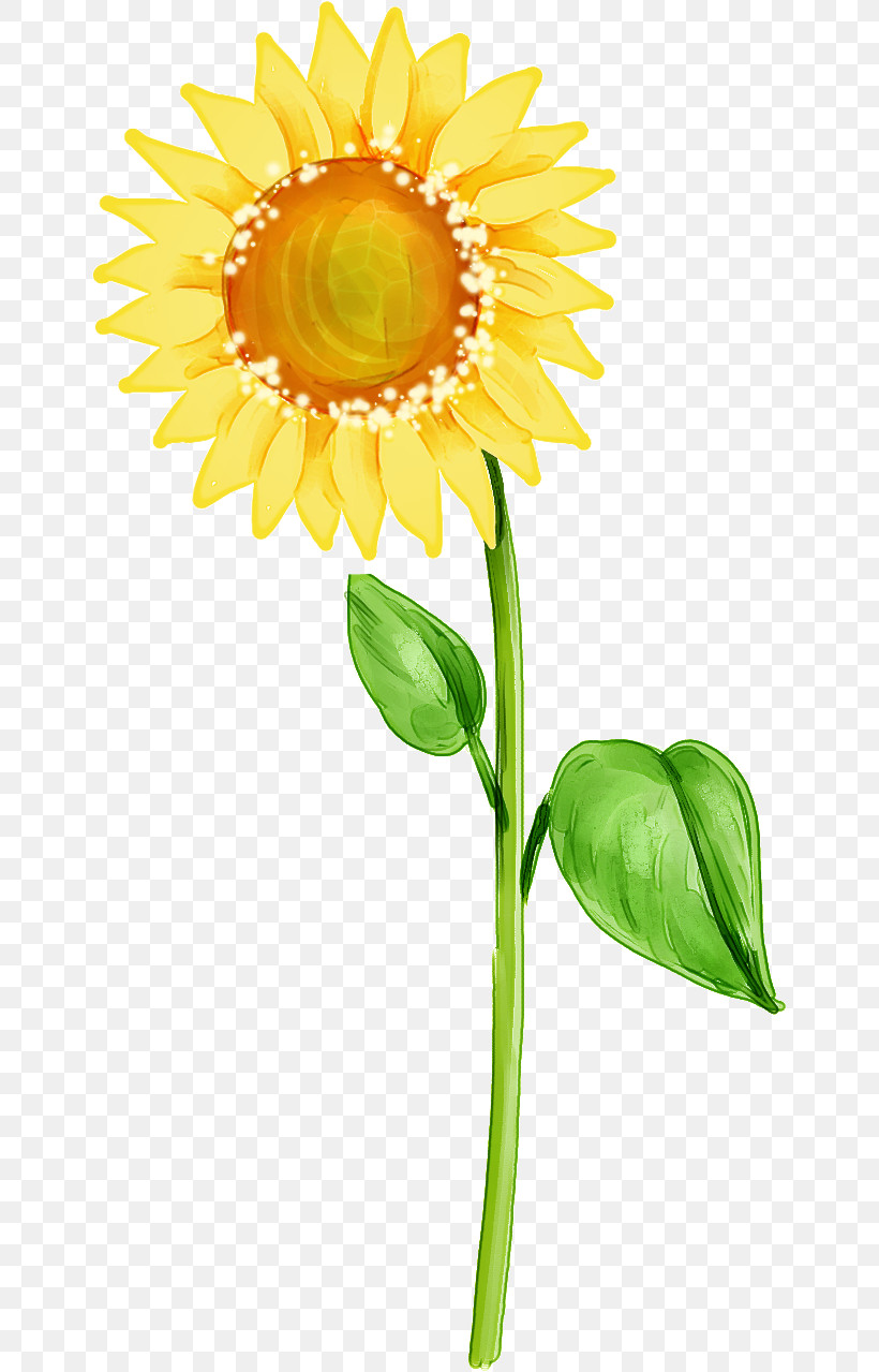 Sunflower, PNG, 647x1279px, Flower, Asterales, Cut Flowers, Daisy Family, Gerbera Download Free