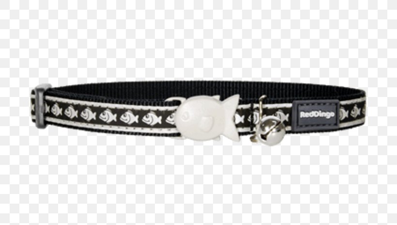 Cat Dingo Kitten Collar Leash, PNG, 696x464px, Cat, Belt, Belt Buckle, Black Cat, Cat Litter Trays Download Free