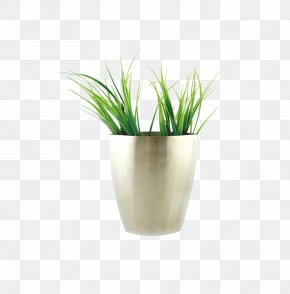 Home Decoration - Vase PNG
