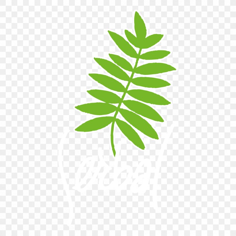 Natural Landscape Nature Logo, PNG, 1000x1000px, Natural Landscape, Empresa, Landscape, Leaf, Logo Download Free