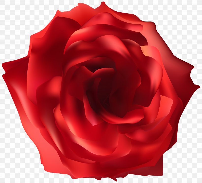 Rose Desktop Wallpaper Clip Art, PNG, 8000x7237px, Rose, Blue Rose, China Rose, Close Up, Cut Flowers Download Free