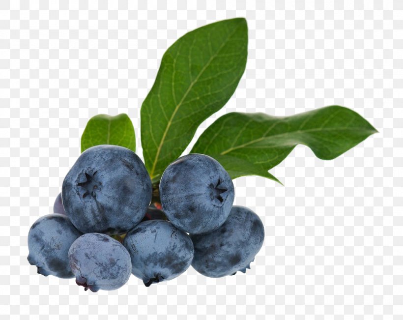 Blueberry Tea Bilberry Huckleberry Fruit, PNG, 1000x794px, Blueberry Tea, Antioxidant, Berry, Bilberry, Blueberry Download Free