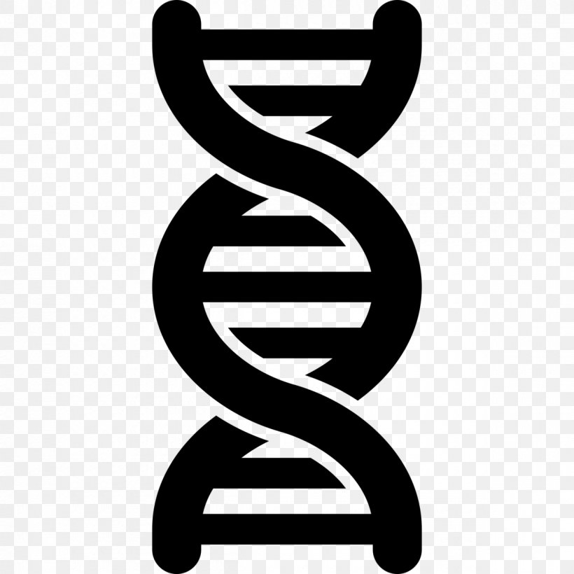 DNA Nucleic Acid Double Helix Genetic Testing Genetics Vector, PNG, 1200x1200px, Dna, Biology, Black And White, Dna Profiling, Dna Sequencing Download Free