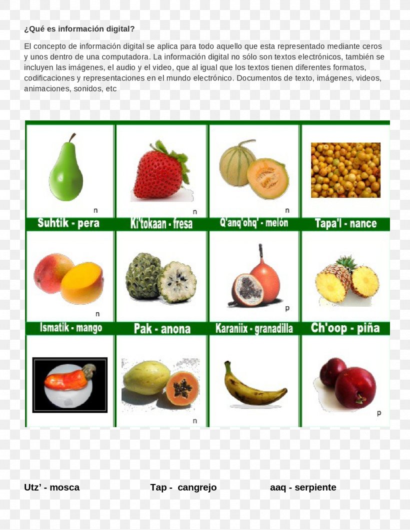 Fruit Vegetable Poqomchi' Language Spanish Language Poqomam Language, PNG, 1700x2200px, Fruit, Diet Food, Food, Food Group, Language Download Free