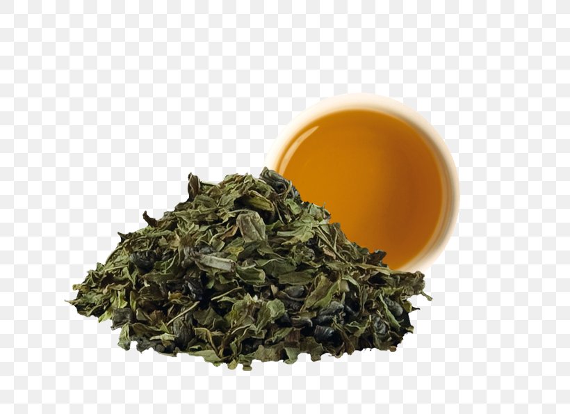 Green Tea Gunpowder Tea Tieguanyin Nilgiri Tea, PNG, 638x595px, Tea, Assam Tea, Bai Mudan, Bancha, Biluochun Download Free