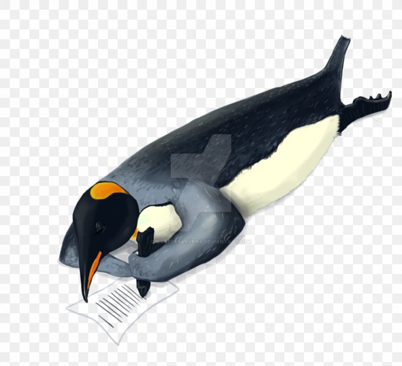 King Penguin Marine Mammal Animal Beak, PNG, 935x854px, King Penguin, Animal, Animal Figure, Beak, Bird Download Free