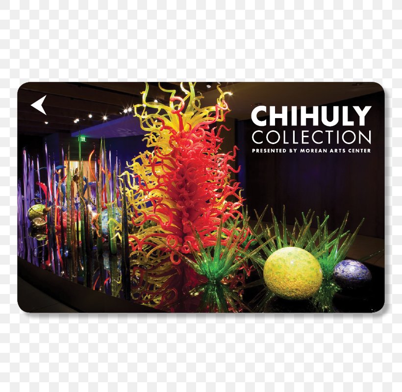 Morean Arts Center Chihuly Collection Chihuly: Glass Artist, PNG, 800x800px, Morean Arts Center, Art, Art Glass, Art Museum, Artist Download Free