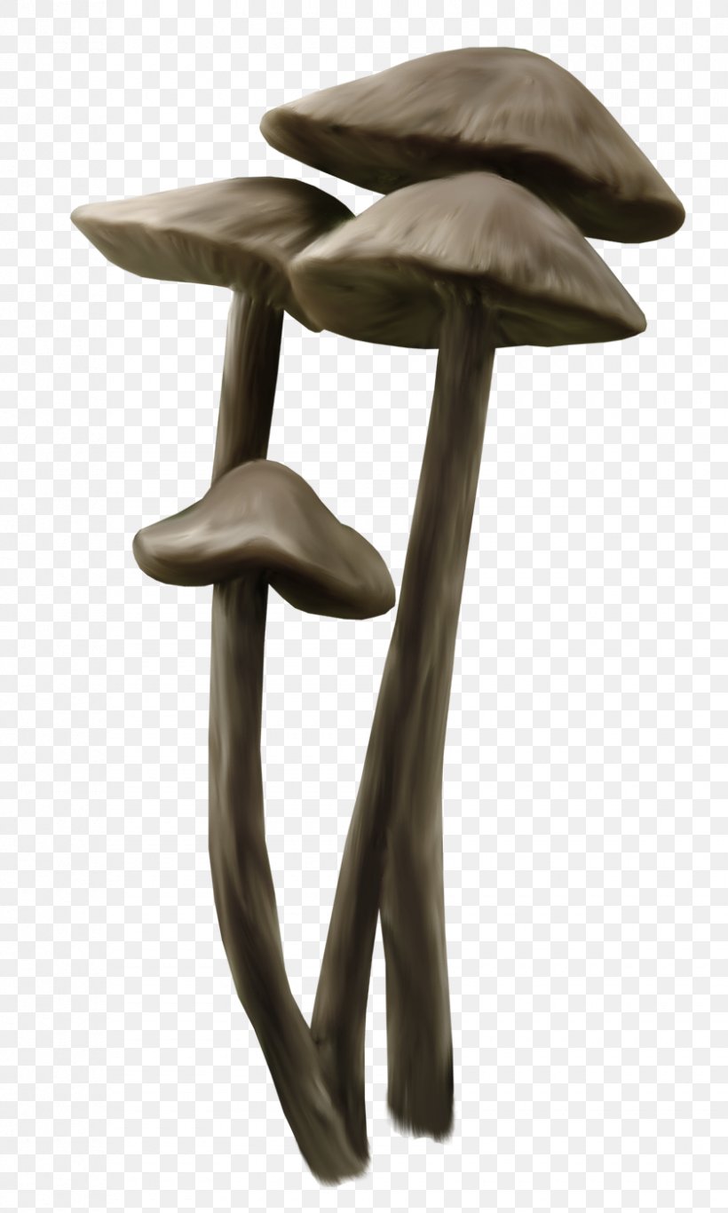 Mushroom Clip Art, PNG, 840x1400px, Mushroom, Furniture, Image File Formats, Photography, Preview Download Free