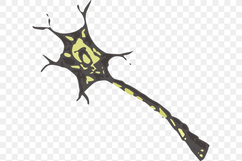 Neuron Nervous System Dendrite Brain Clip Art, PNG, 600x544px, Neuron, Axon, Biology, Brain, Brain Cell Download Free