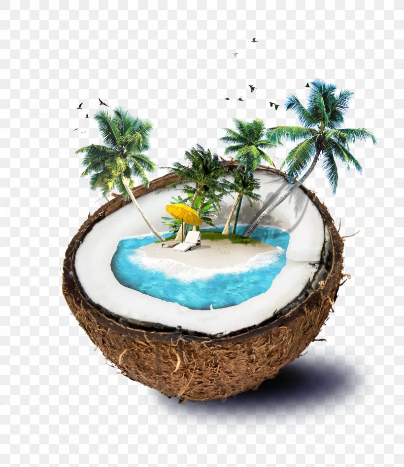 Coconut Water Travel, PNG, 2480x2864px, Weligama, Beach, Coconut, Coconut Milk, Coconut Oil Download Free