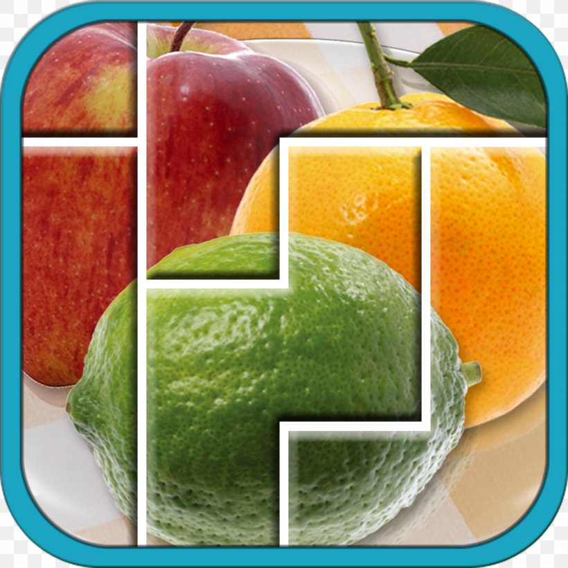 Diet Food Melon Vegetable, PNG, 1024x1024px, Food, Diet, Diet Food, Fruit, Melon Download Free