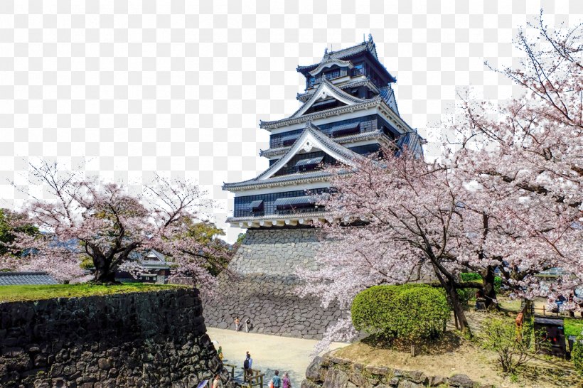Kumamoto Castle Osaka Castle U4e09u540du57ce 2016 Kumamoto Earthquakes, PNG, 1024x682px, 2016 Kumamoto Earthquakes, Kumamoto Castle, Building, Cherry Blossom, Flower Download Free