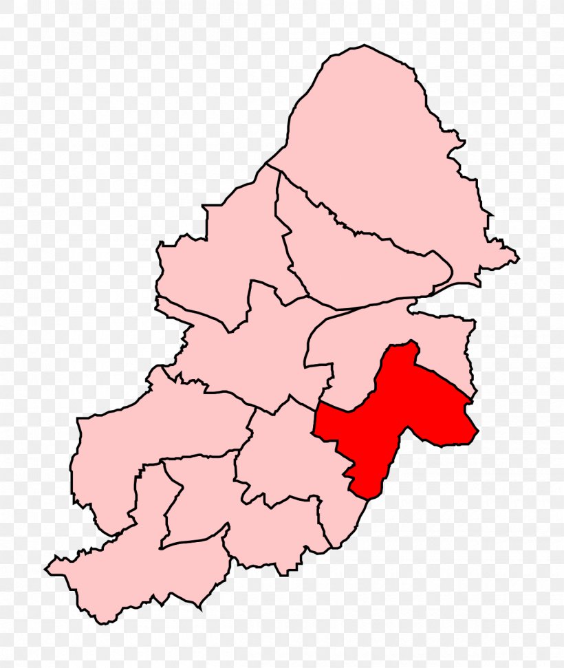 Birmingham Selly Oak Birmingham Ladywood Electoral District, PNG, 1200x1422px, Birmingham Ladywood, Area, Birmingham, Circonscription, Election Download Free