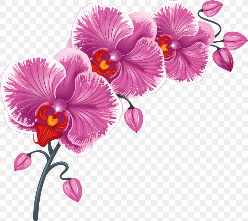 Flower Desktop Wallpaper Clip Art, PNG, 5750x5122px, Flower, Cut Flowers, Floral Design, Flowering Plant, Lilac Download Free