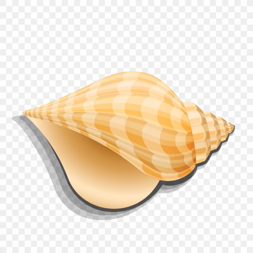 Seashell Conch Sea Snail Shellfish, PNG, 1000x1000px, Seashell, Animation, Aquatic Animal, Caracola, Cartoon Download Free