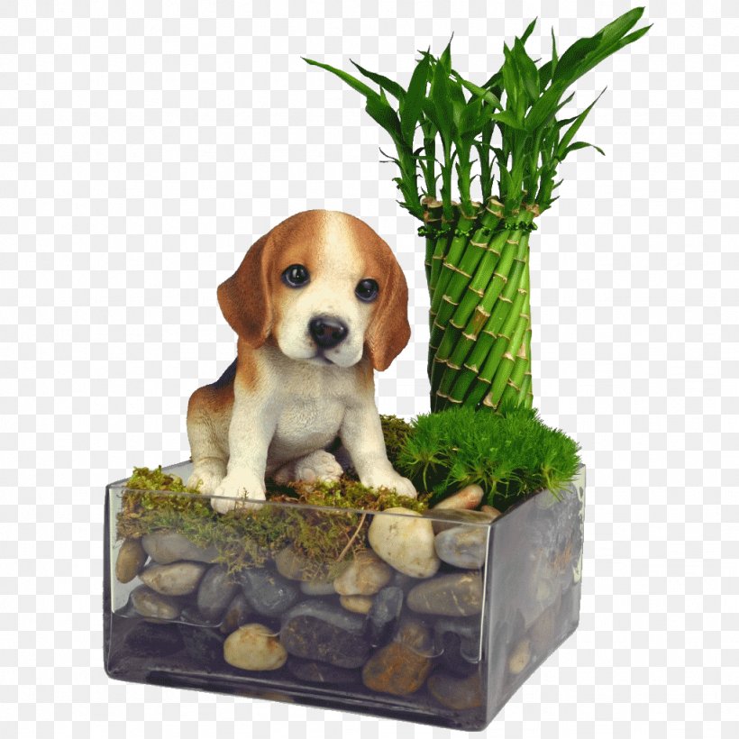 Beagle Harrier Puppy Dog Breed Companion Dog, PNG, 1024x1024px, Beagle, Breed, Carnivoran, Companion Dog, Crossbreed Download Free