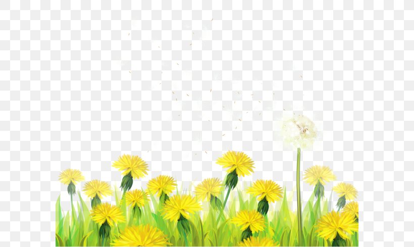 Dandelion Paper Clip Art, PNG, 600x491px, Dandelion, Common Sunflower, Daisy Family, Field, Flower Download Free