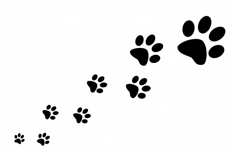 Dog Cat Paw Silhouette Clip Art, PNG, 1920x1271px, Dog, Animal Track, Art, Black, Black And White Download Free