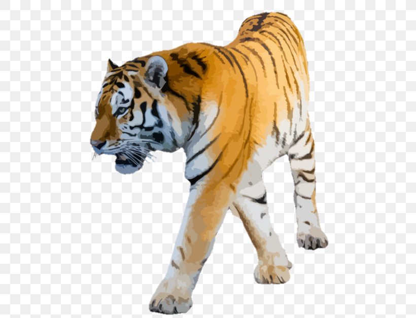 Lion Clip Art Felidae Bengal Tiger Cat, PNG, 800x627px, Lion, Animal Figure, Bengal Tiger, Big Cat, Big Cats Download Free