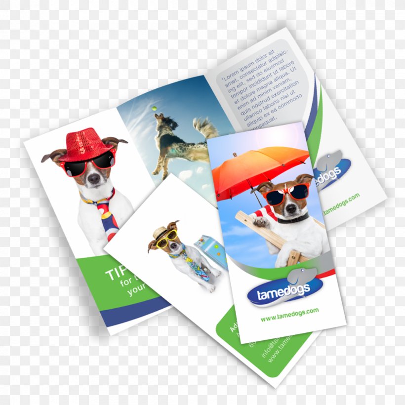Mockup Brochure Graphic Design Printing, PNG, 1200x1200px, Mockup, Advertising, Brand, Brochure, Business Download Free