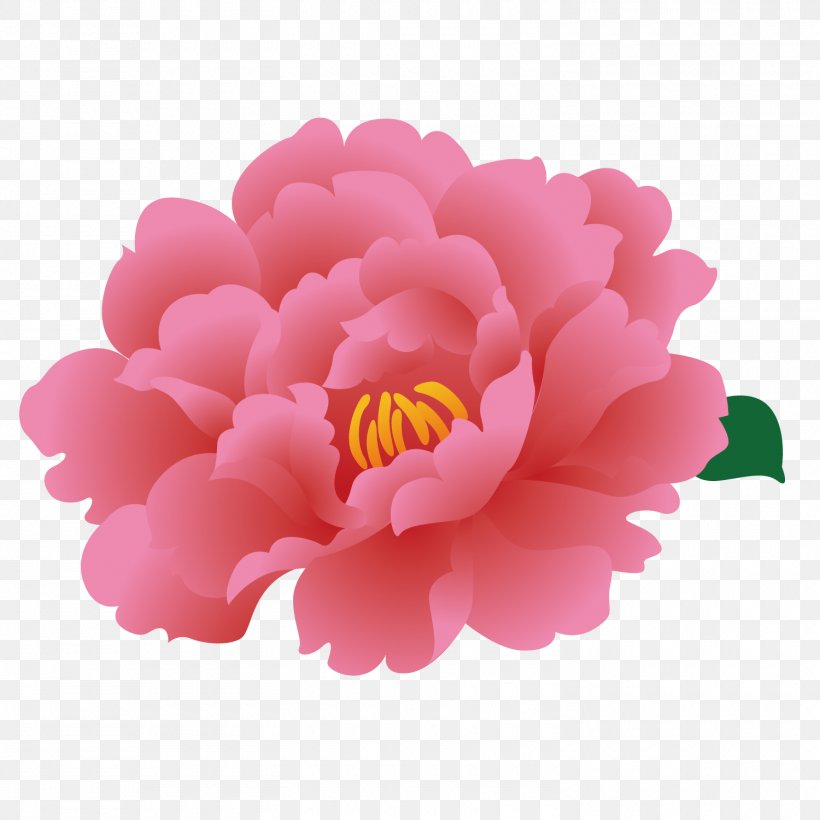 Moutan Peony Download Clip Art, PNG, 1500x1500px, Moutan Peony, Camellia, Dahlia, Floral Design, Flower Download Free