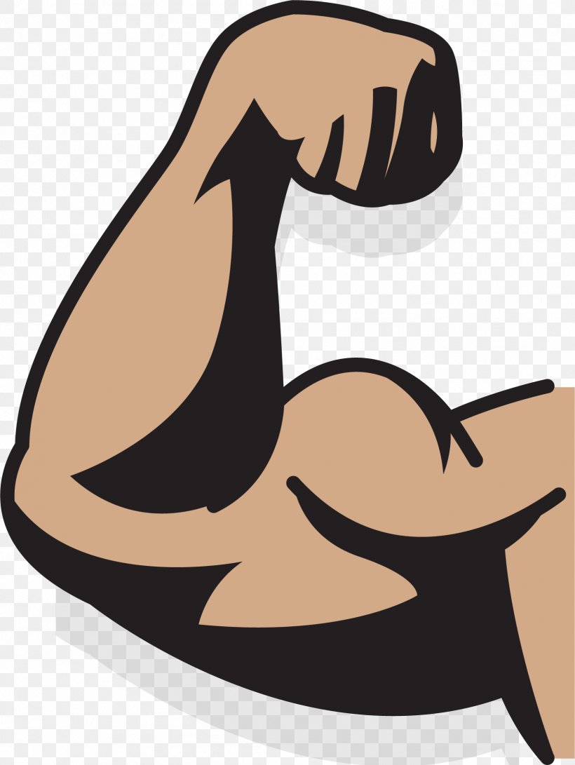 Muscle Drawing Augu0161delms Arm, PNG, 1686x2244px, Muscle, Animation